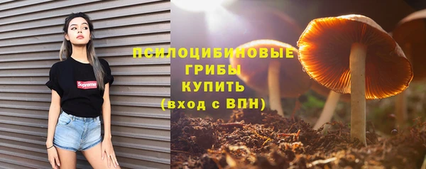 mix Аркадак