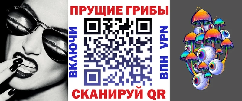 дарнет шоп  Белово  Галлюциногенные грибы Magic Shrooms 